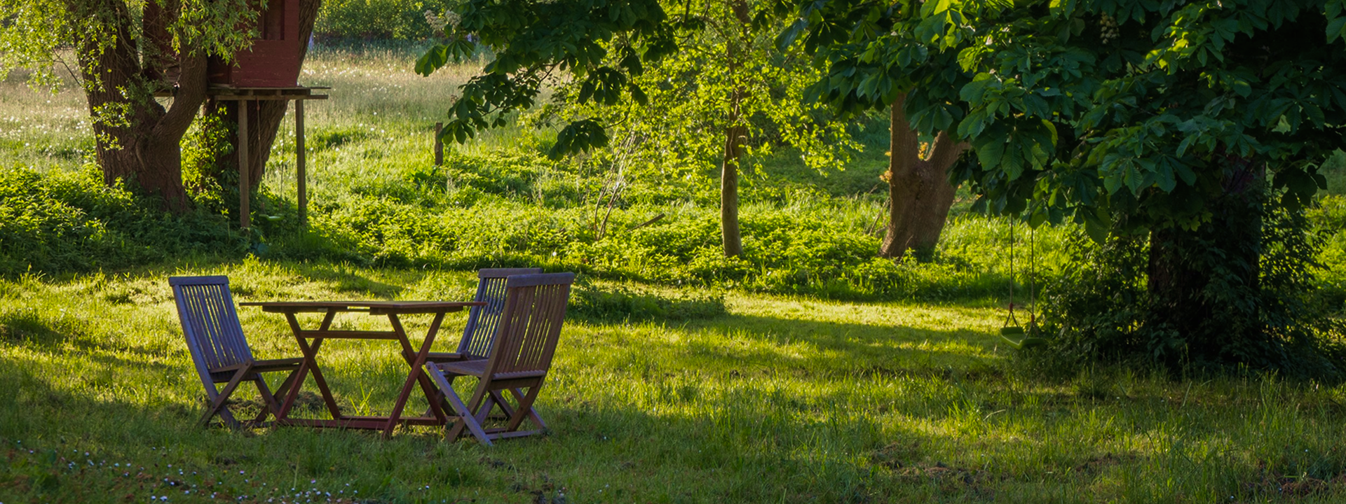 Brasseries (restaurants de type brasserie)