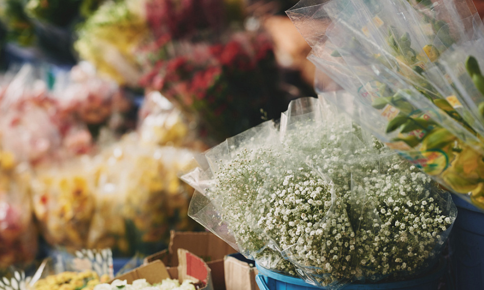 Vente fleuriste secteur Thiers Dore et Montagne 1