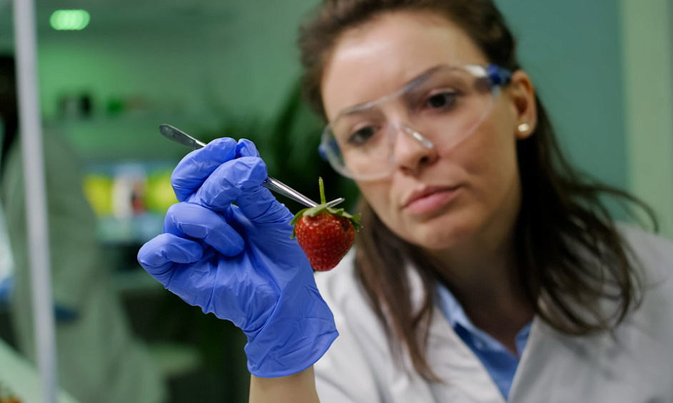 AV laboratoire alimentaire Venissieux zone franche 1