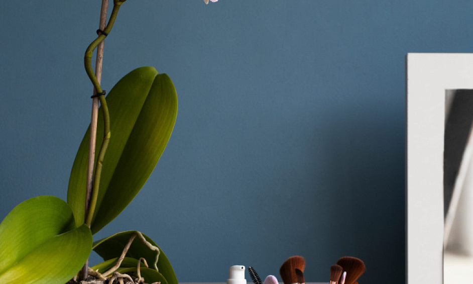 AV salon esthétique institut de beauté Paris 75014 1