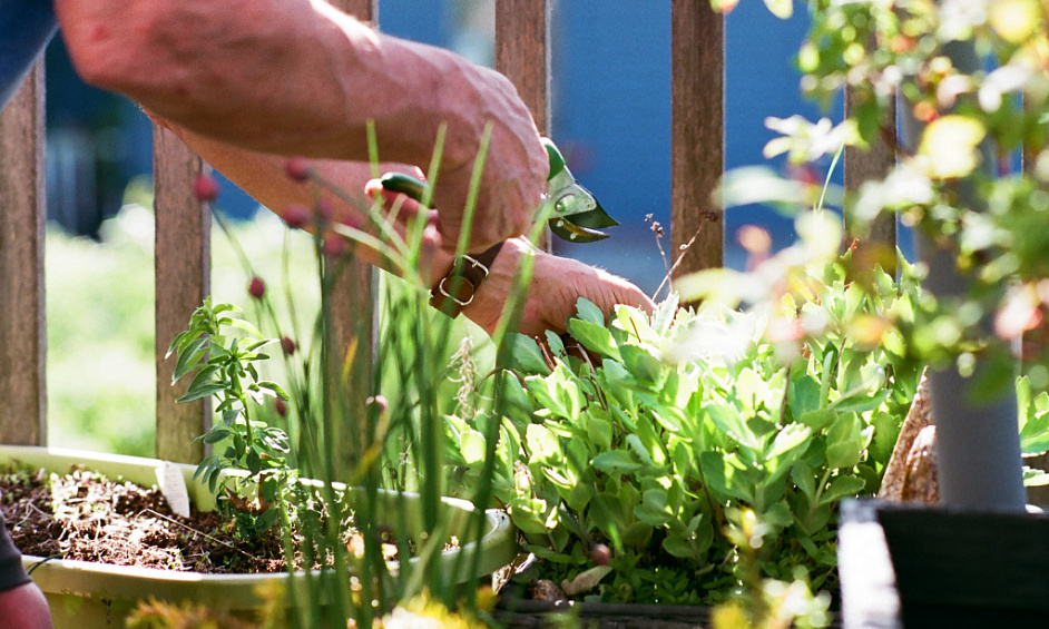 Exploitation horticole avec commerce de fleuriste 1