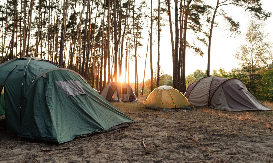 Vente camping 3 *** en région maconnaise 1