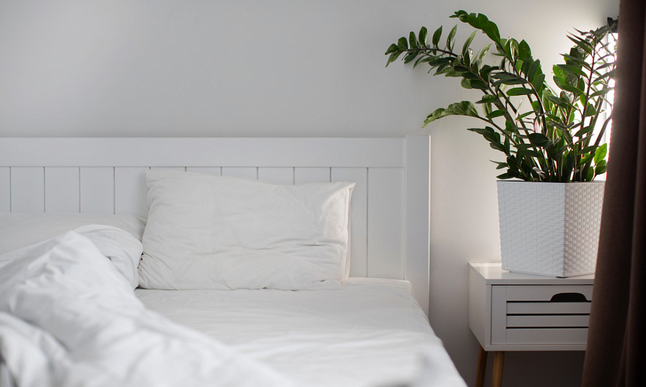 Vente hôtel *** en toute propriété à Bordeaux 1