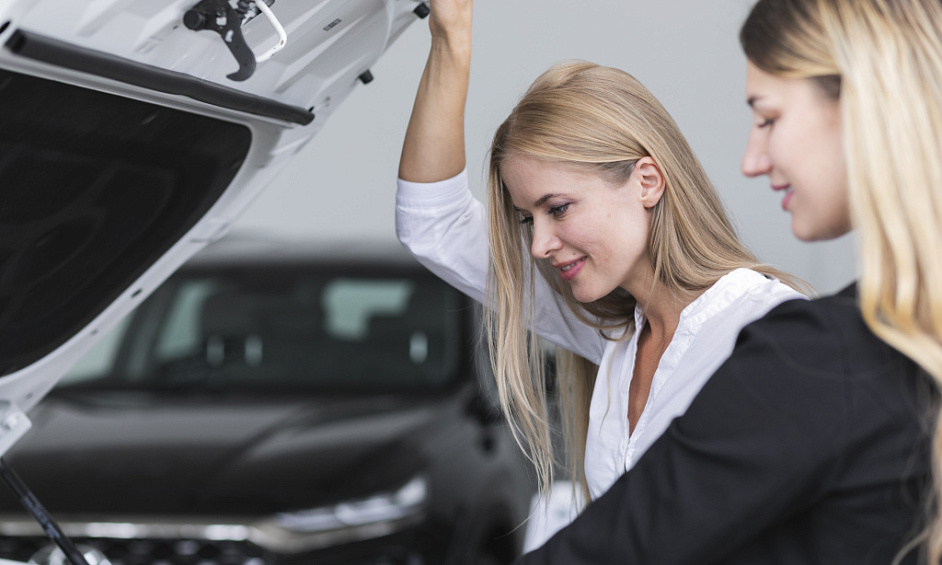 Opportunité création concession Ligier (74) 1